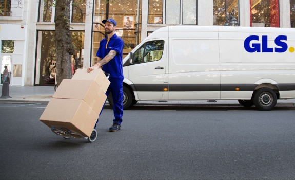 Servicios opcionales