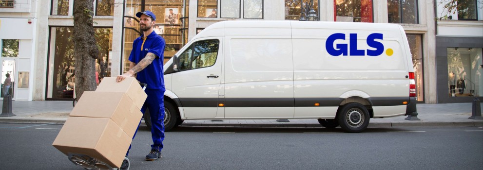 Servicios opcionales